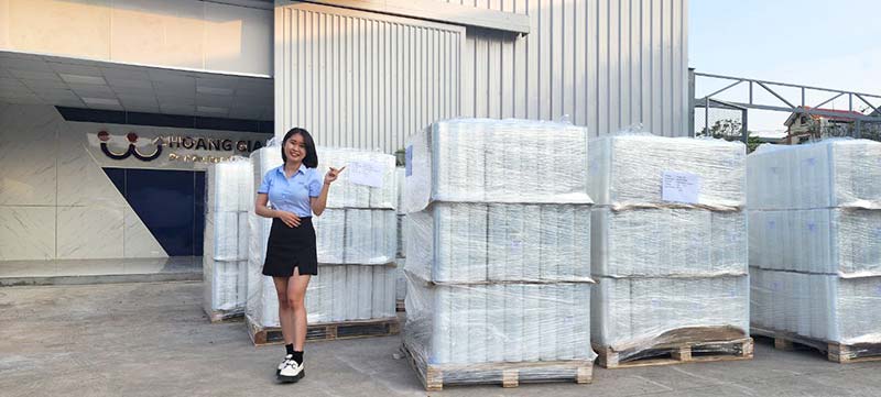 Gia-hat-nhua-tang-cao-Hoang-Gia-chi-tang-nhe